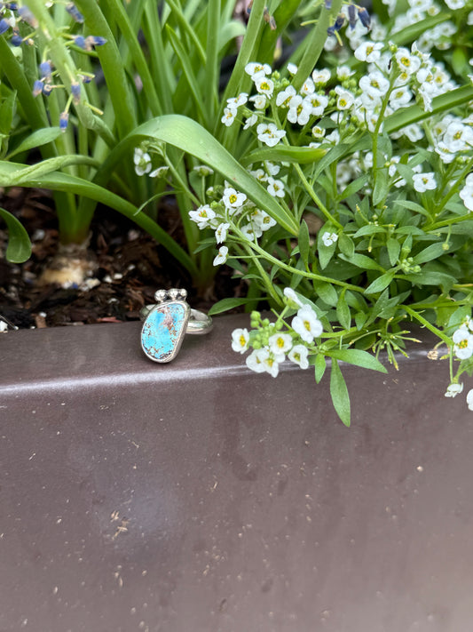 Golden Hills Turquoise & Sterling Silver Ring Size 8